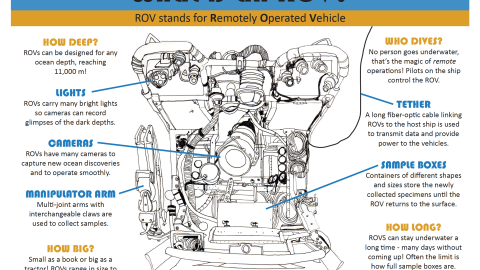 What is an ROV infographic