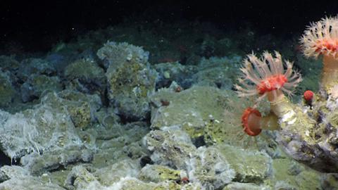 bacterial mat boulders