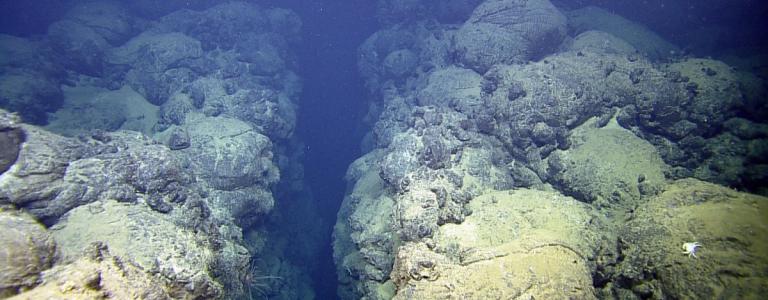 Galapagos Rift
