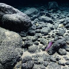 Pāhoehoe: Pillows